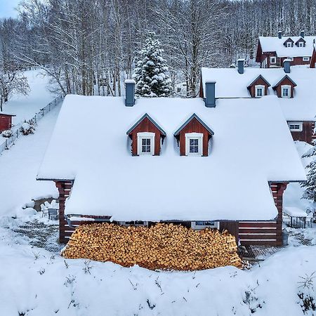 Modern Chalet Na Zlatniku Zlata Olesnice  Eksteriør billede