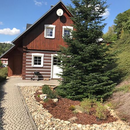 Modern Chalet Na Zlatniku Zlata Olesnice  Eksteriør billede