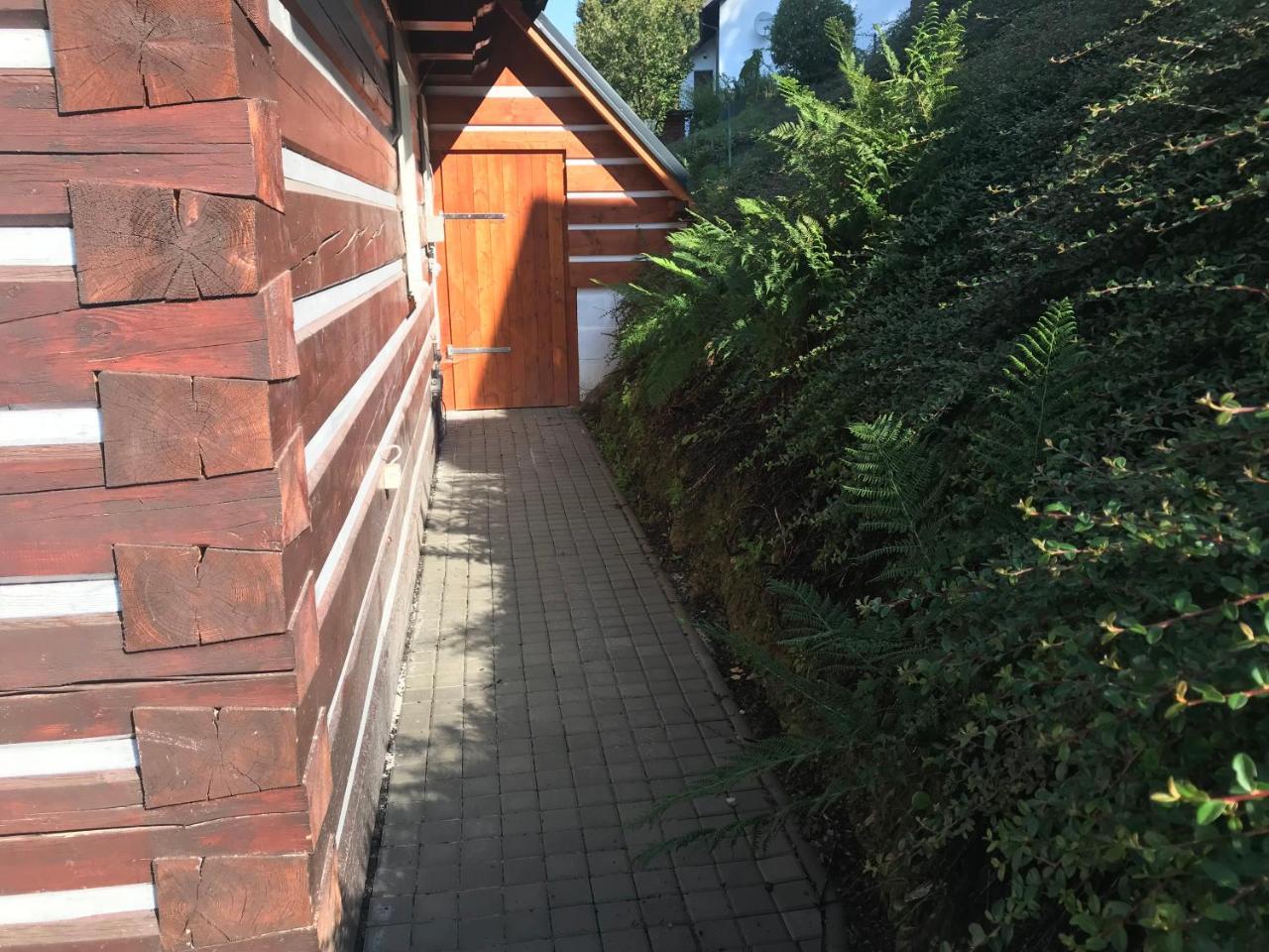 Modern Chalet Na Zlatniku Zlata Olesnice  Eksteriør billede