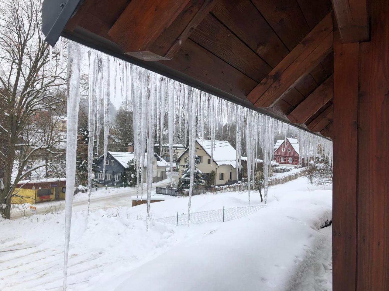 Modern Chalet Na Zlatniku Zlata Olesnice  Eksteriør billede