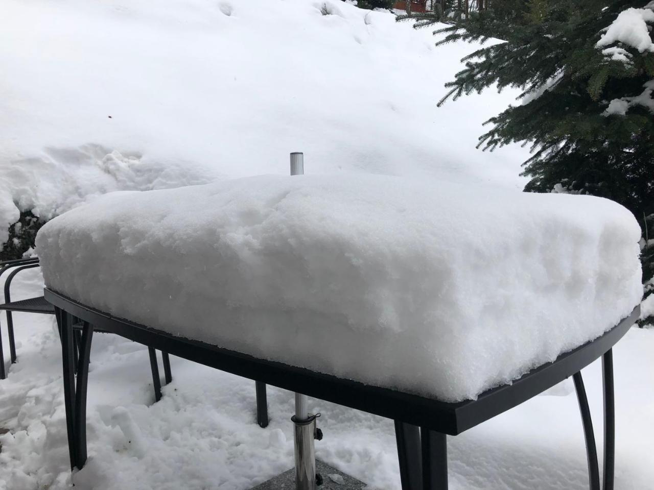 Modern Chalet Na Zlatniku Zlata Olesnice  Eksteriør billede
